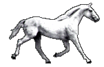 horsewh2 Π‘ΠΌΡΡΠΊΠΈ
