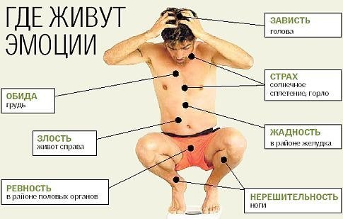 где живут эмоции?