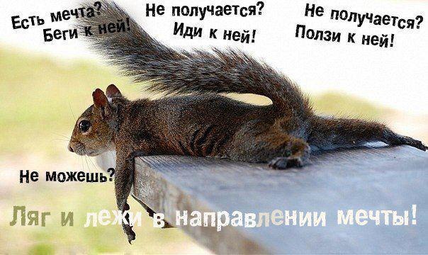 иди к мечте иди к мечте