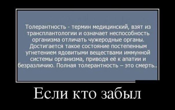 толерантность