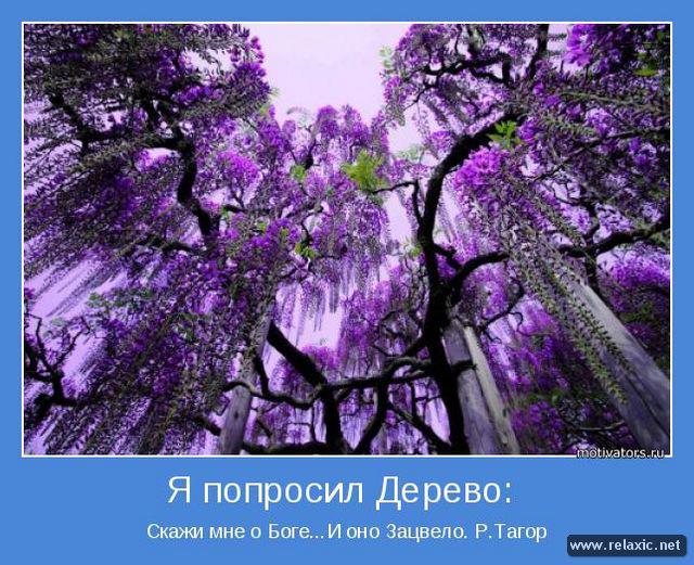 Расскажи мне о Боге...