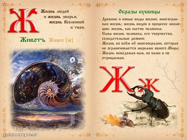 Жизнь сложна и многогранна